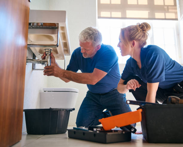 Best Local Plumber Services  in Bartlett, TX